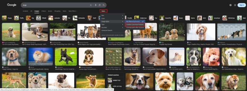Google image search results